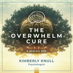 Artwork for The Overwhelm Cure