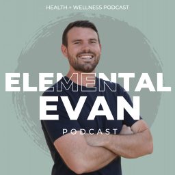 Artwork for Elemental Evan