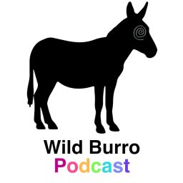 Artwork for Wild Burro Podcast