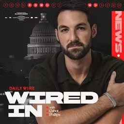 Artwork for Wired In
