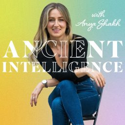 Artwork for Ancient Intelligence