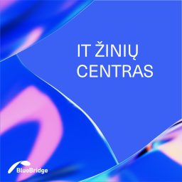 Artwork for „Blue Bridge“ IT žinių centras