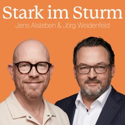 Artwork for Stark im Sturm