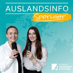 Artwork for Auslandsinfo