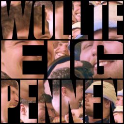 Artwork for Wollte eig Pennen