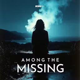 Artwork for Among The Missing