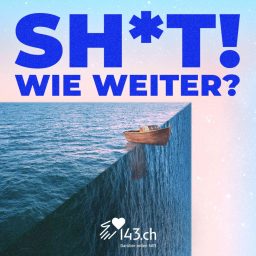 Artwork for SH*T! WIE WEITER?