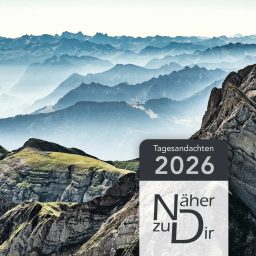Artwork for Näher zu Dir