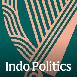 Artwork for Indo Politics