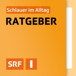 Artwork for Ratgeber