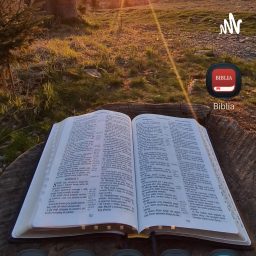Artwork for Biblia Audio Podcast