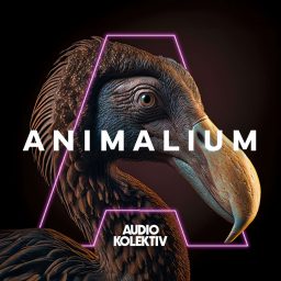 Artwork for Animalium