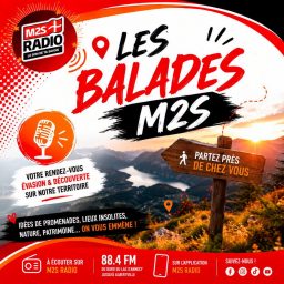 Artwork for Les balades M2S