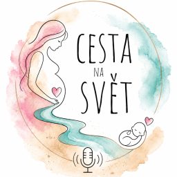 Artwork for Cesta na svět