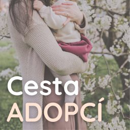 Artwork for Cesta adopcí