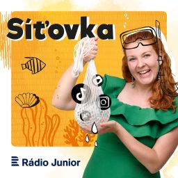 Artwork for Síťovka