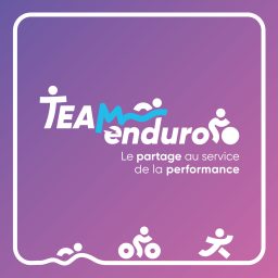 Artwork for Team Enduro