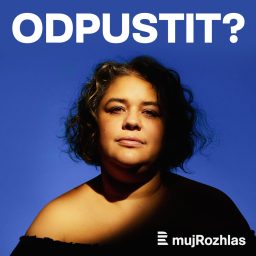Artwork for Odpustit?