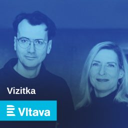 Artwork for Vizitka