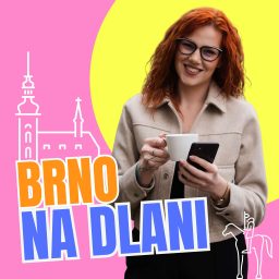 Artwork for Brno na dlani