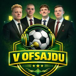 Artwork for V OFSAJDU