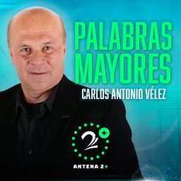 Artwork for Palabras Mayores