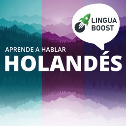 Artwork for Aprende holandés con LinguaBoost