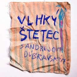 Artwork for Vlhký štetec s Andrejom