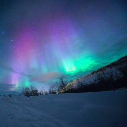 Artwork for Norsk for Beginners
