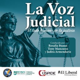 Artwork for La Voz Judicial