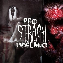 Artwork for PROSTRACHUDĚLÁNO