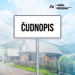 Artwork for Čudnopis