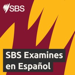 Artwork for SBS Examines en Español