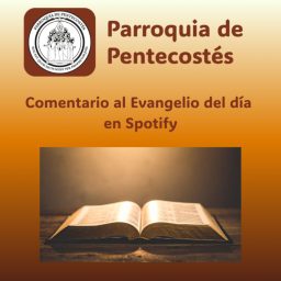 Artwork for Comentario al Evangelio del día