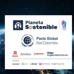 Artwork for Planeta sostenible