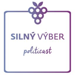 Artwork for Silný výber