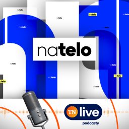 Artwork for Na telo