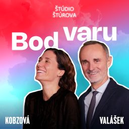 Artwork for Bod Varu