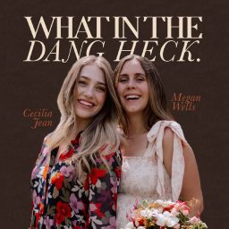 Artwork for What In The Dang Heck