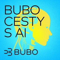 Artwork for BUBO cesty s AI