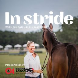Artwork for In Stride