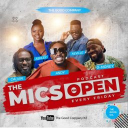 Artwork for The Mics Are Open