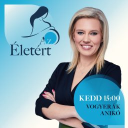 Artwork for Az Életért