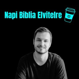 Artwork for Napi Biblia Elvitelre