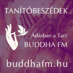 Artwork for Tanítóbeszédek