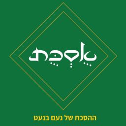 Artwork for אֻסְכֻּת - ההסכת של נעם בנעט
