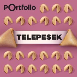 Artwork for Telepesek
