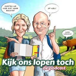 Artwork for Kijk ons lopen toch