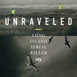 Artwork for Unraveled