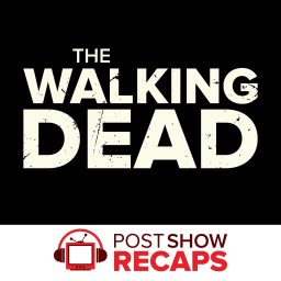 Artwork for The Walking Dead LIVE: Post Show Recaps